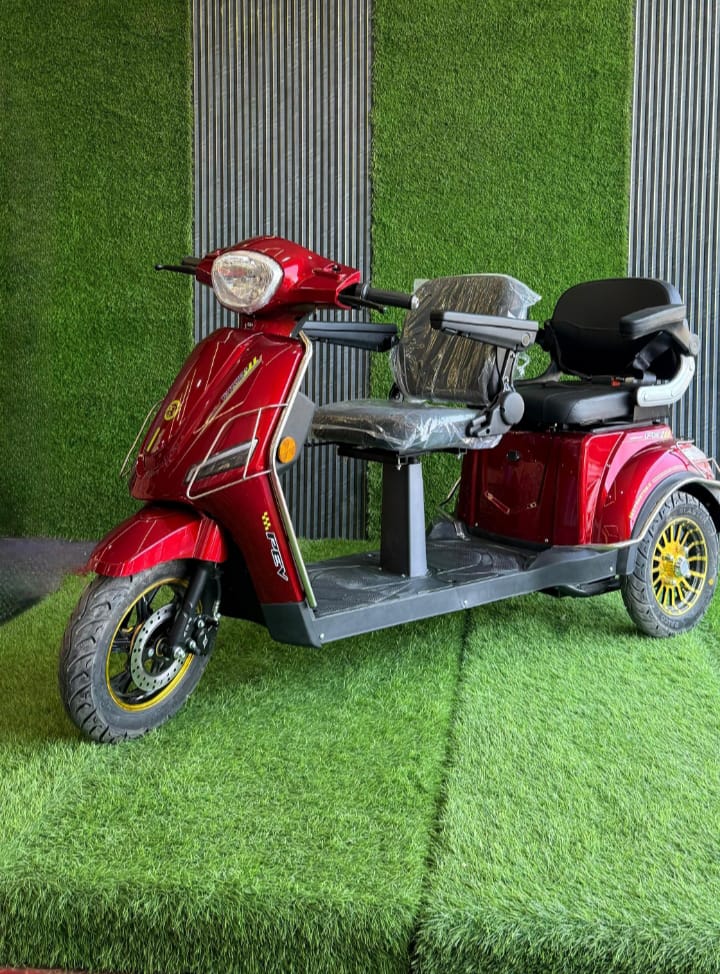 Why Choose Fuzzy E-Bike